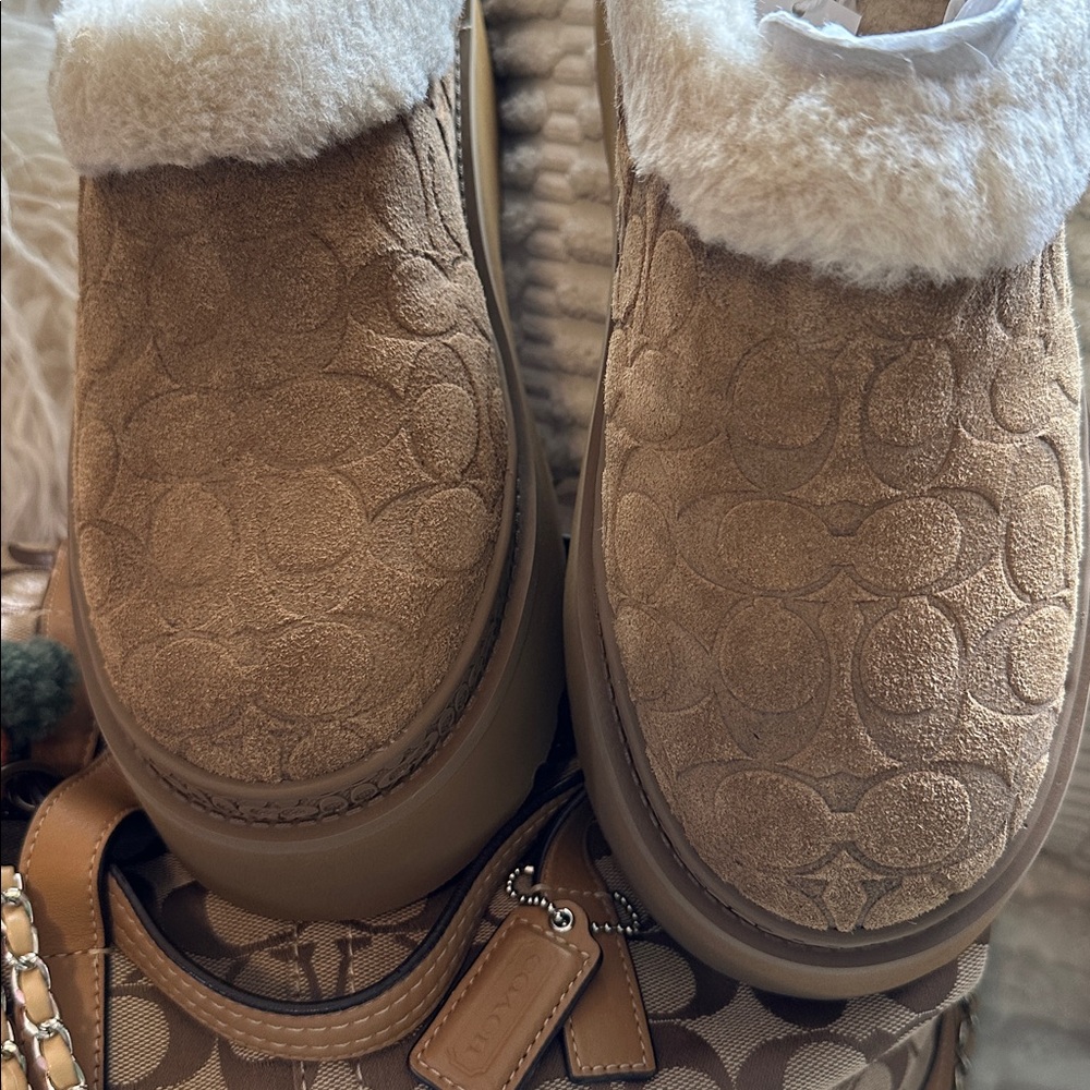 NIB | COACH Cecilia Clog in Signature Suede - Picture 6 of 13